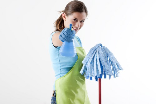 Professional oven cleaning service in an Earlscourt kitchen