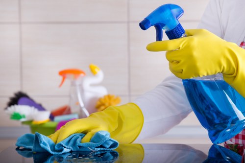 Clean kitchen and bathroom reset for a short-term rental in Earlscourt