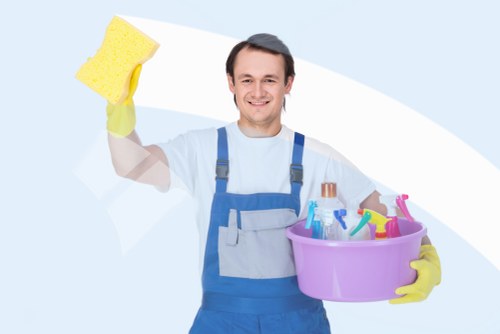 Deep cleaning of bathroom and living areas in Earlscourt