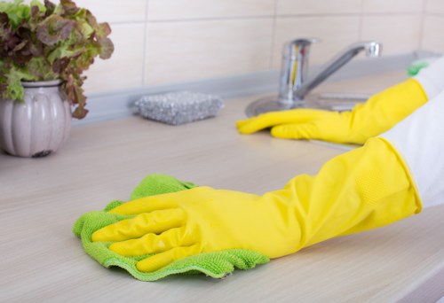 Informative article section about cleaning standards in Earlscourt