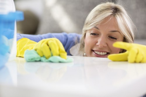 Oven cleaning appointment for a residential or commercial property in Earlscourt