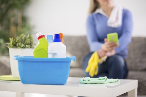 Flexible domestic cleaning for flats and houses in Earlscourt