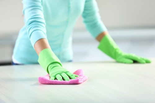 Local cleaner preparing a rental property for inspection in Earlscourt