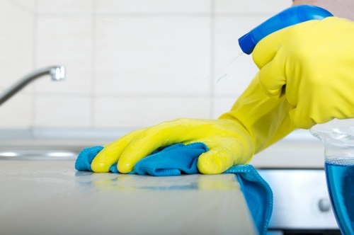 Safe and encrypted Cleaner Earlscourt online payment checkout