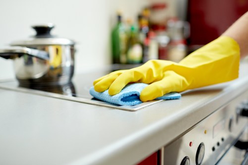 End of tenancy cleaning checklist and property handover in Earlscourt