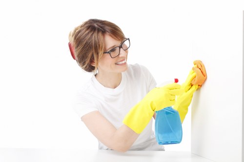 Kitchen and bathroom cleaning tasks for a regular home clean