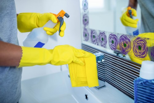 Local pet stain and smell removal for a home or small business