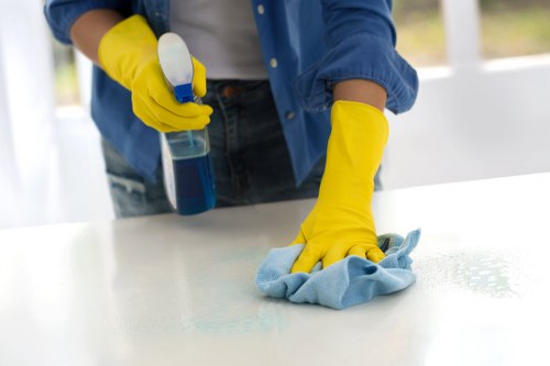 Cleaner preparing a property for new occupants in Earlscourt