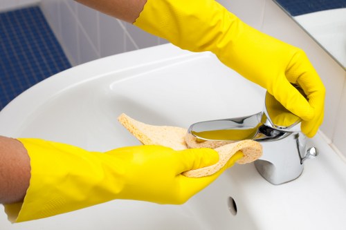 Professional cleaner in Earlscourt handling kitchen surfaces