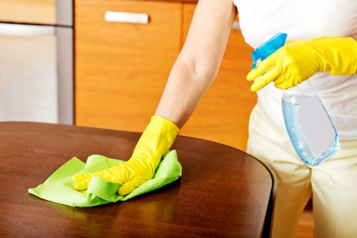 Upholstery cleaning setup for a sofa and armchair in Earlscourt